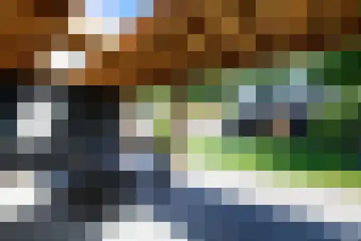 Ropta 62 Drachten thumbnail 45