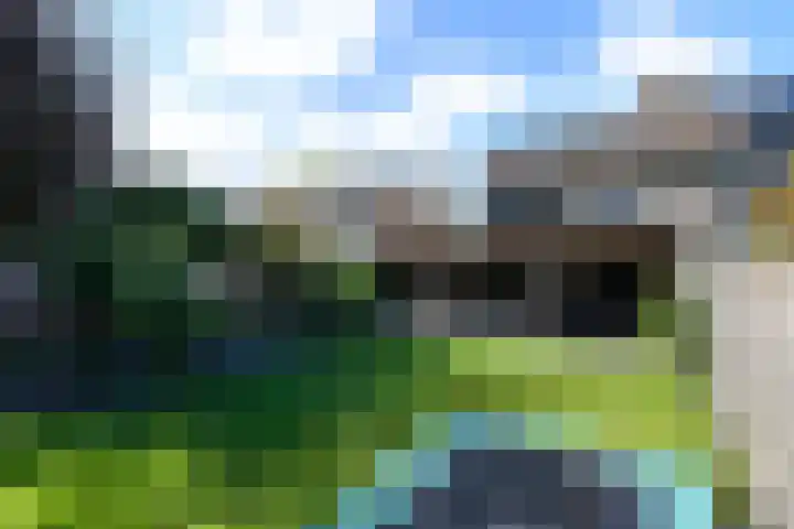 Ropta 62 Drachten thumbnail 47