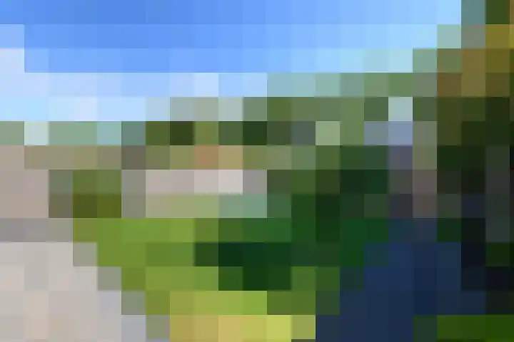 Ropta 62 Drachten thumbnail 48