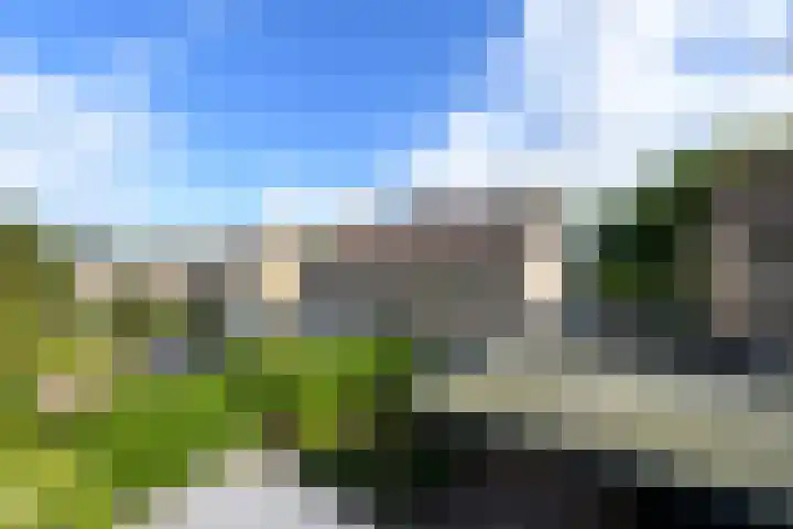 Ropta 62 Drachten thumbnail 5