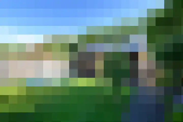 Ropta 62 Drachten thumbnail 50