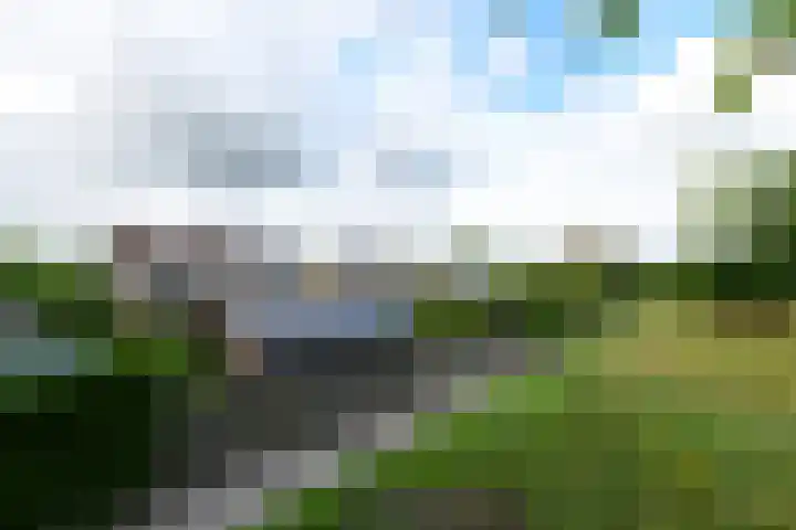 Ropta 62 Drachten thumbnail 53
