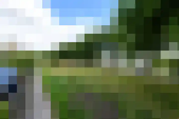 Ropta 62 Drachten thumbnail 54
