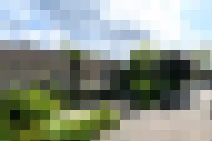 Ropta 62 Drachten thumbnail 6