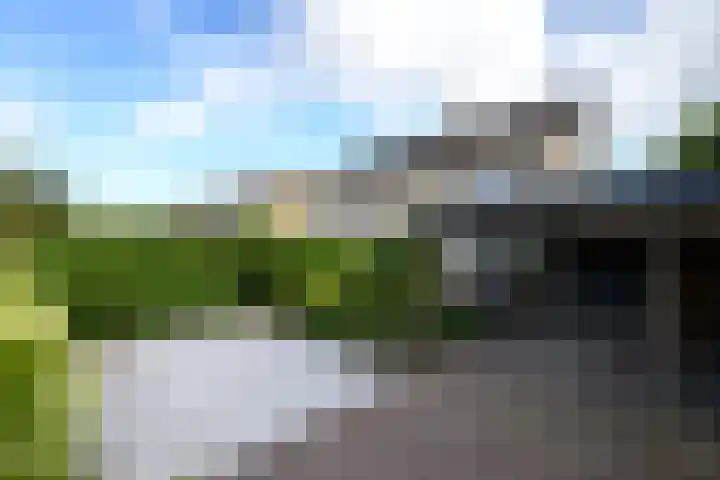 Ropta 62 Drachten thumbnail 7