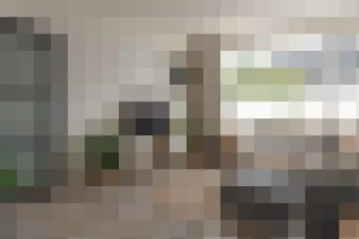 Ropta 67 Drachten thumbnail 10
