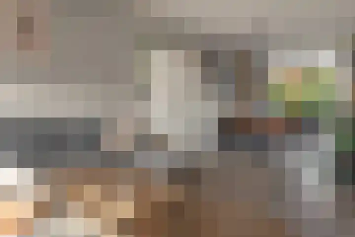 Ropta 67 Drachten thumbnail 12