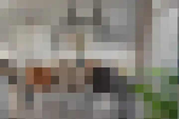 Ropta 67 Drachten thumbnail 15