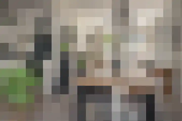 Ropta 67 Drachten thumbnail 17