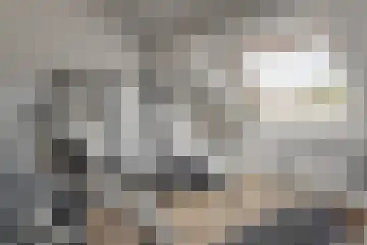 Ropta 67 Drachten thumbnail 34