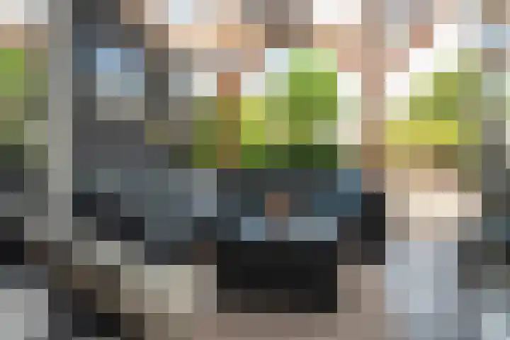 Ropta 67 Drachten thumbnail 36