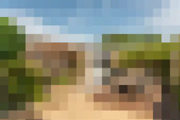 Ropta 67 Drachten thumbnail 38