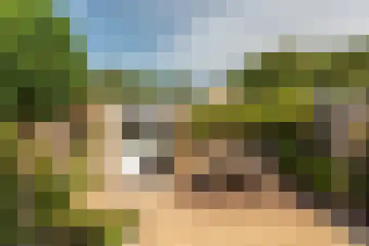 Ropta 67 Drachten thumbnail 39