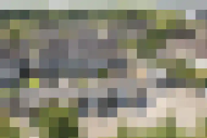 Ropta 67 Drachten thumbnail 44