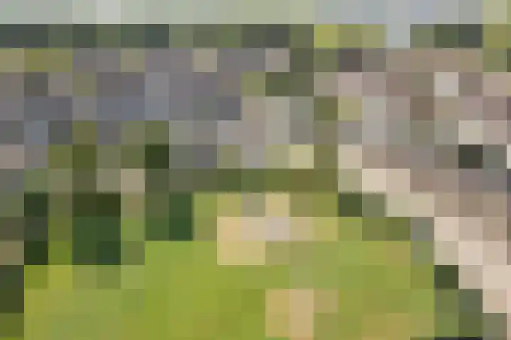 Ropta 67 Drachten thumbnail 45