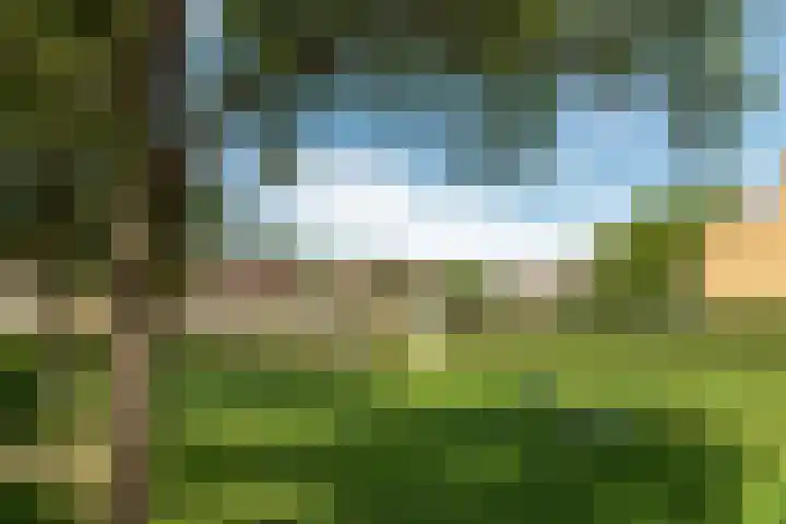Ropta 67 Drachten thumbnail 46