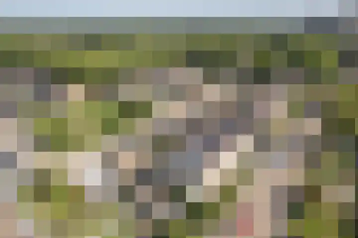 Ropta 67 Drachten thumbnail 48
