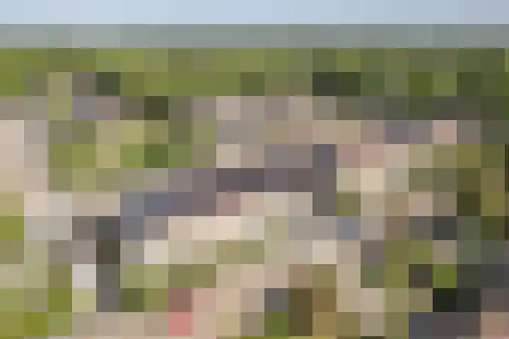 Ropta 67 Drachten thumbnail 50