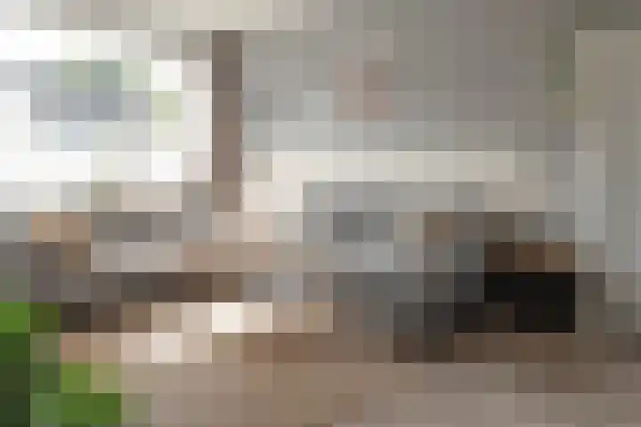 Ropta 67 Drachten thumbnail 9