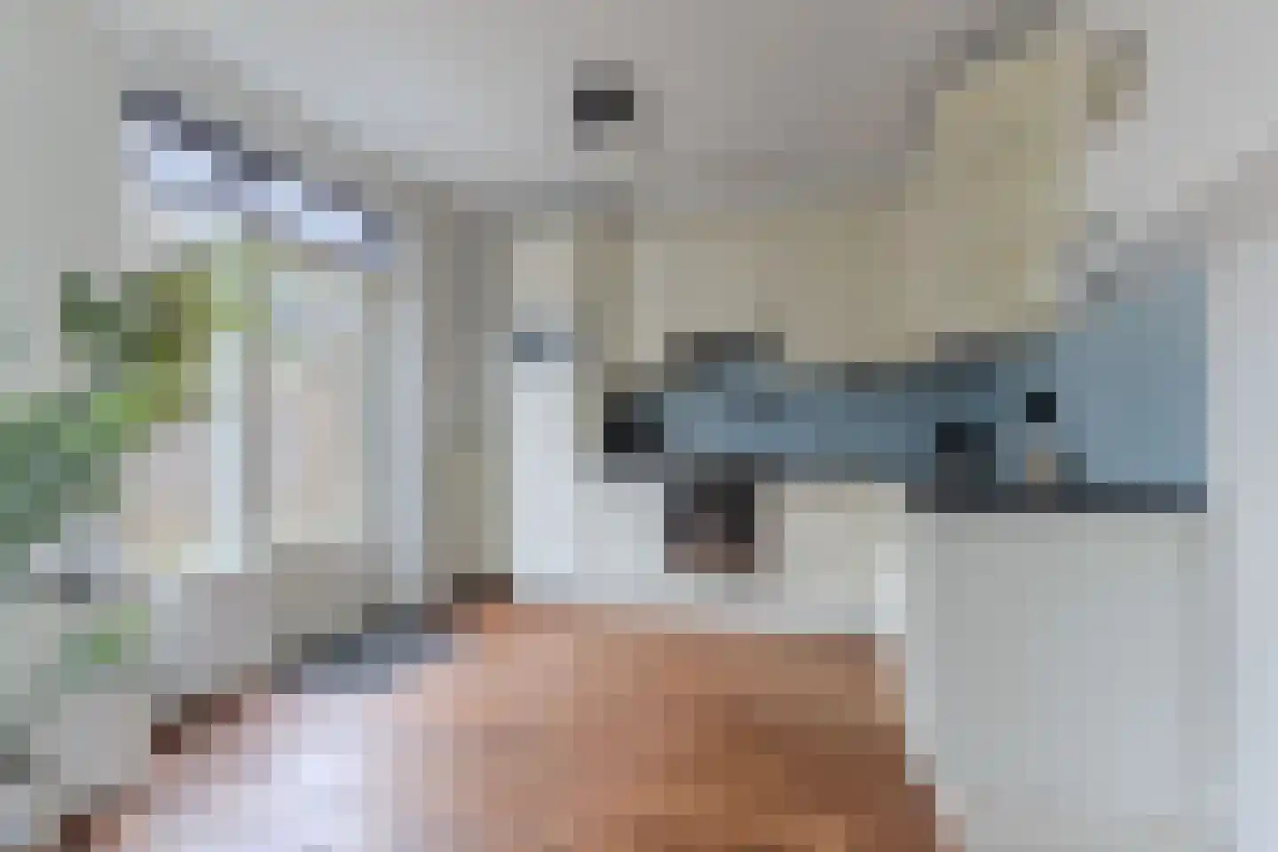 Ropta 96 Drachten thumbnail 22