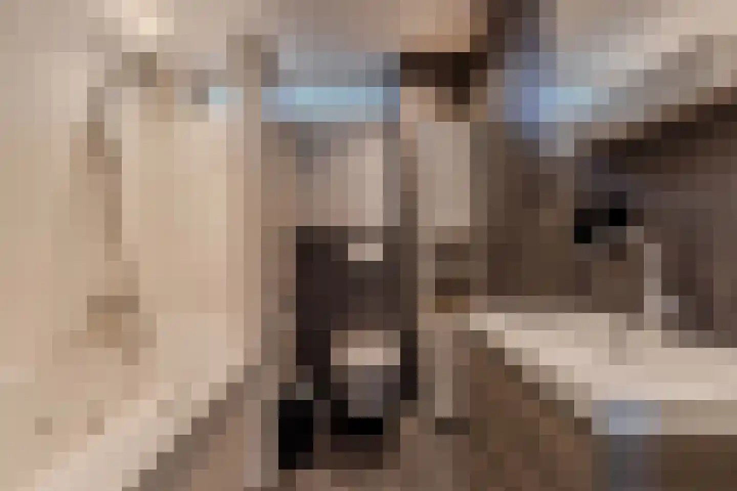 Ropta 96 Drachten thumbnail 28