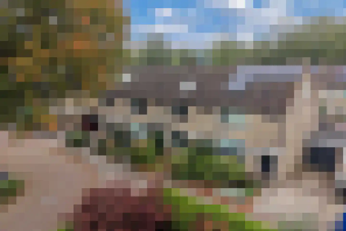 Ropta 96 Drachten thumbnail 6
