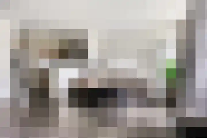 Roptastate 130 Leeuwarden thumbnail 10