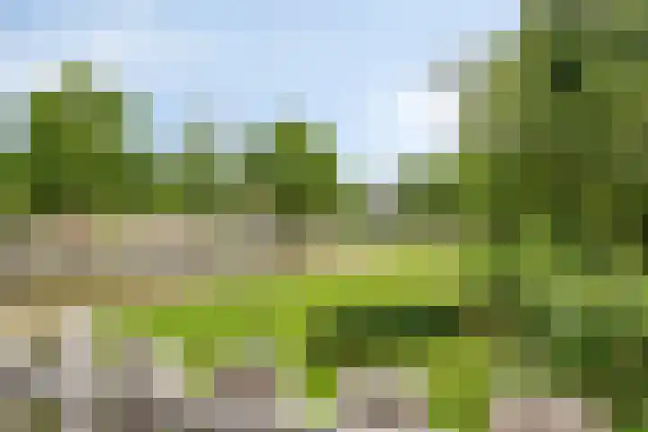 Roptastate 130 Leeuwarden thumbnail 13