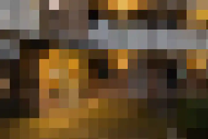 Roptastate 140 Leeuwarden thumbnail 7