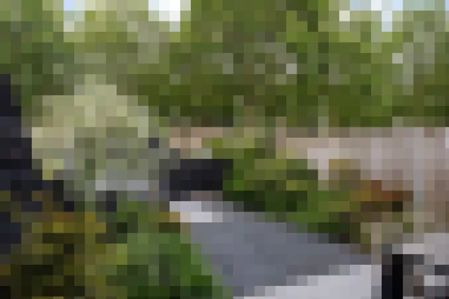 Roptastate 188 Leeuwarden thumbnail 34