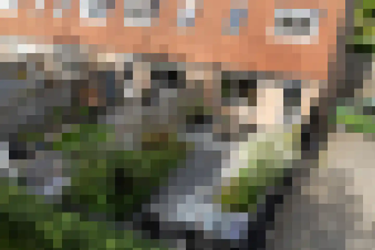 Roptastate 188 Leeuwarden thumbnail 39