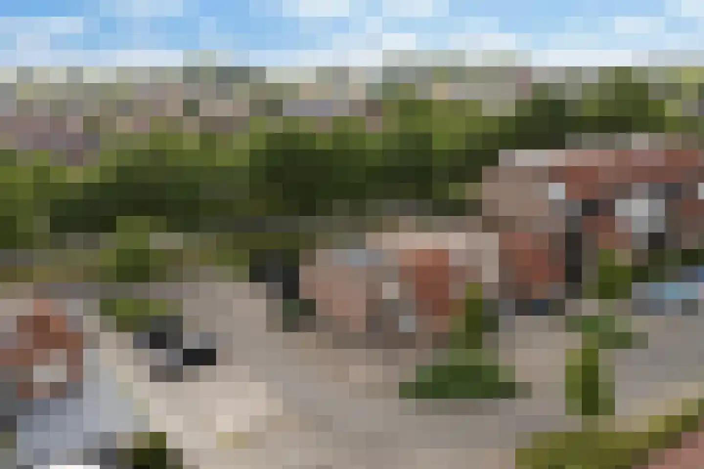 Roptastate 188 Leeuwarden thumbnail 40