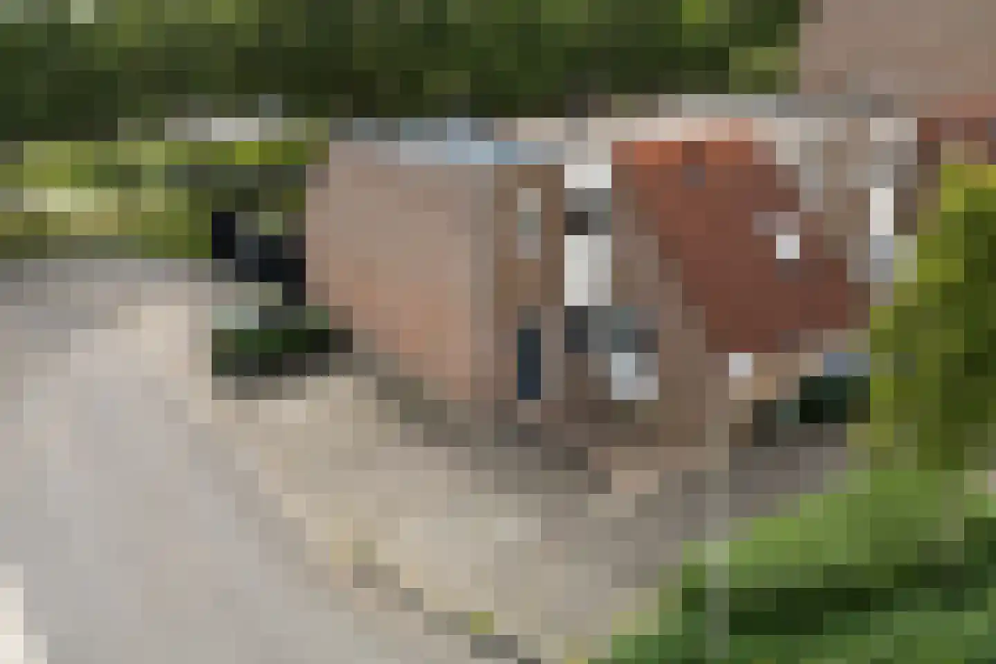 Roptastate 188 Leeuwarden thumbnail 41