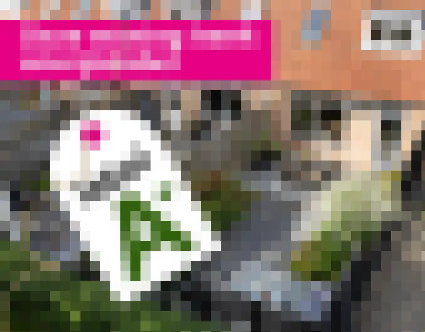 Roptastate 188 Leeuwarden thumbnail 42