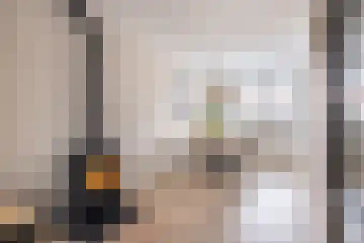 Roptastate 29 Leeuwarden thumbnail 17