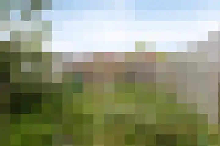 Roptastate 47 Leeuwarden thumbnail 19