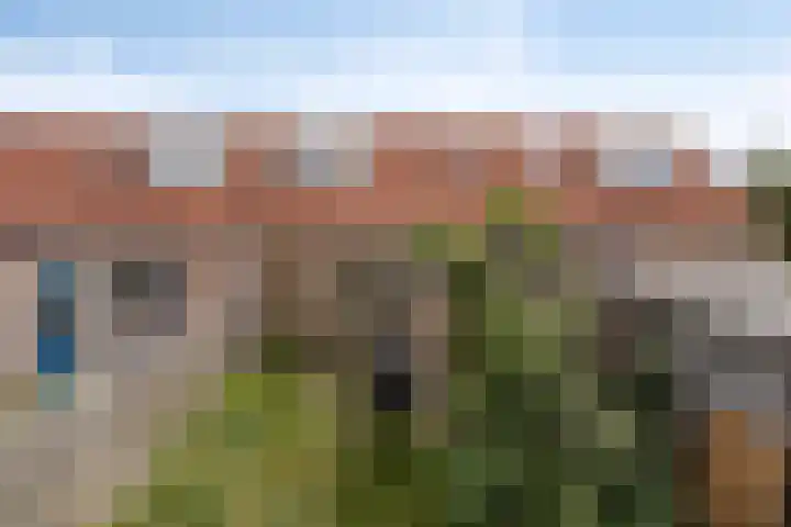 Roptastate 47 Leeuwarden thumbnail 20