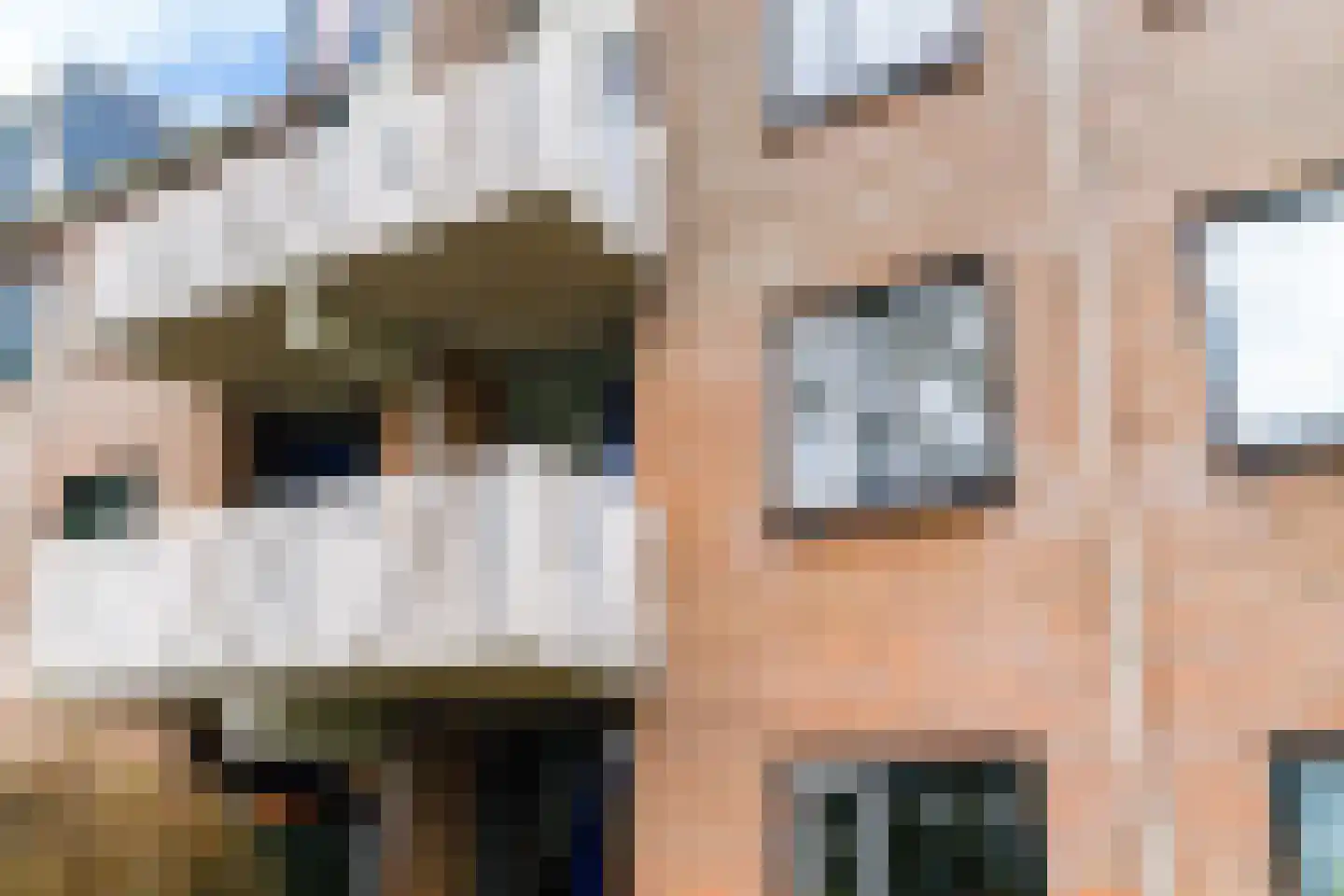 Roptastate 56 Leeuwarden thumbnail 22