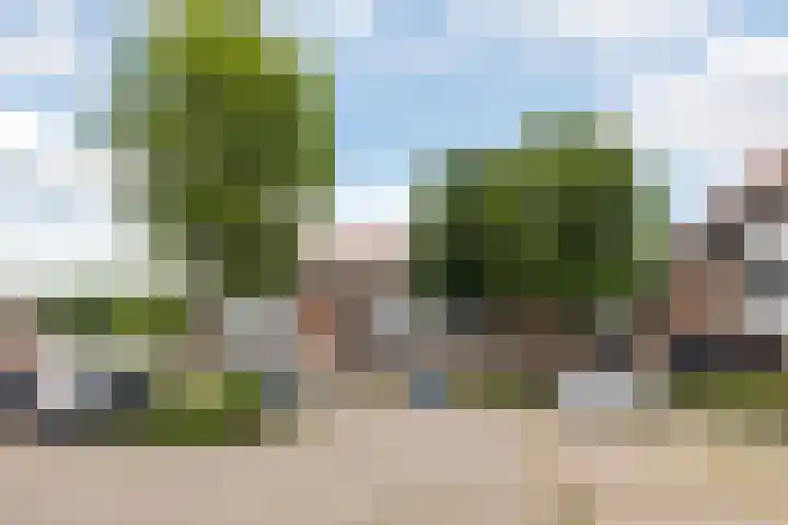 Roptastate 72 Leeuwarden thumbnail 11