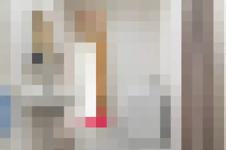 Roptastate 72 Leeuwarden thumbnail 33