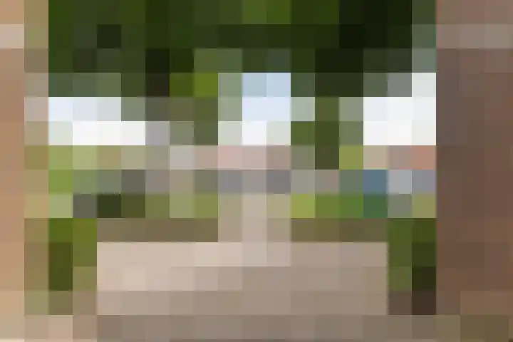 Roptastate 72 Leeuwarden thumbnail 36