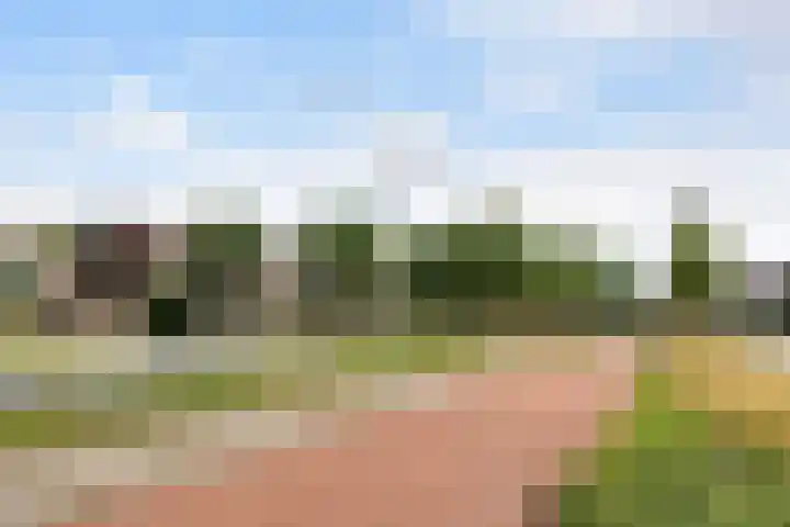 Roptastate 72 Leeuwarden thumbnail 5