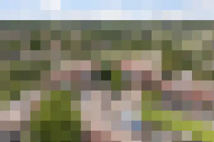 Roptastate 72 Leeuwarden thumbnail 7