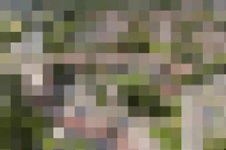 Roptastate 72 Leeuwarden thumbnail 8