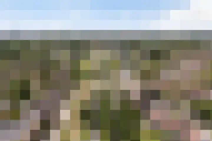 Roptastate 72 Leeuwarden thumbnail 9