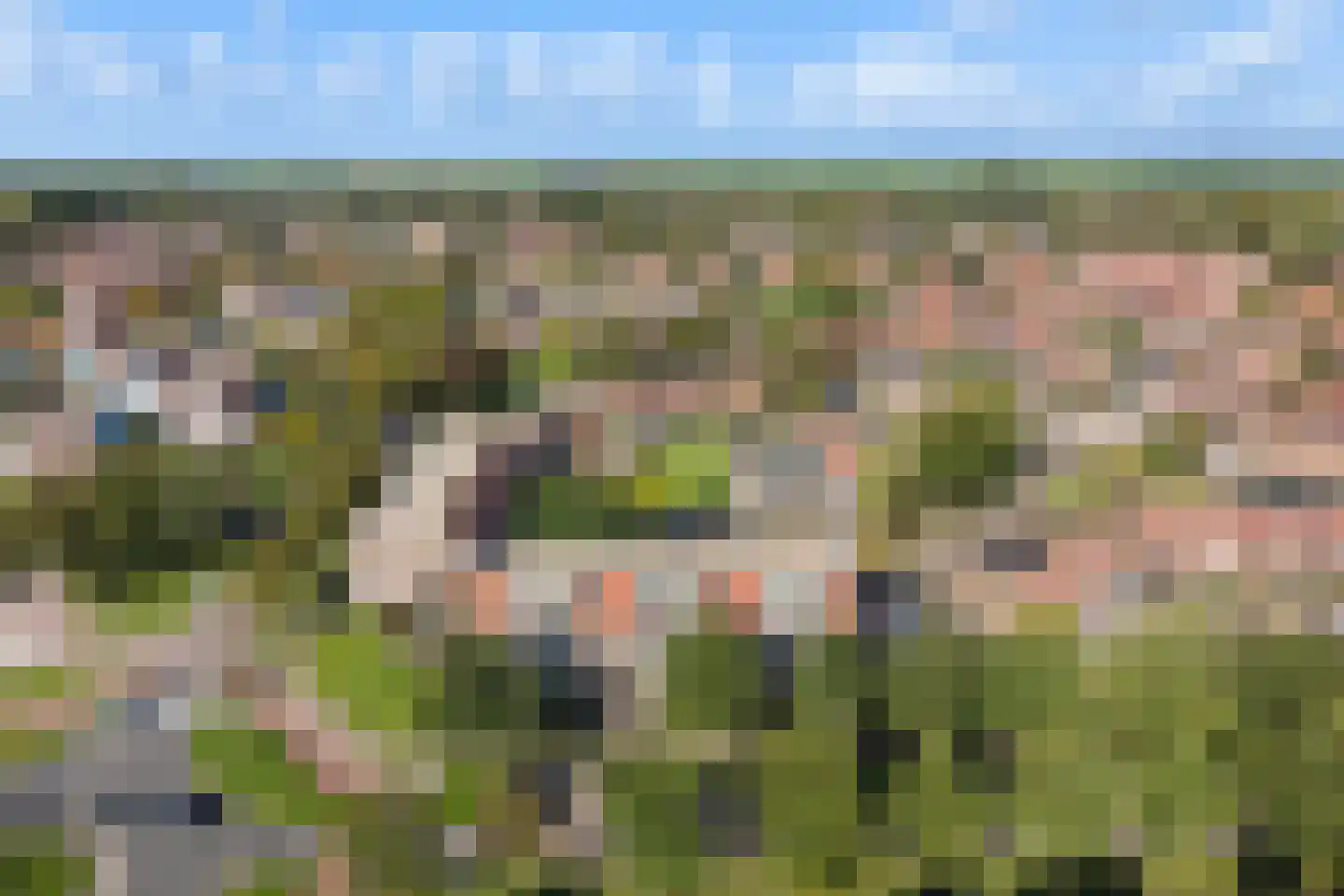 Roptastate 76 Leeuwarden thumbnail 8