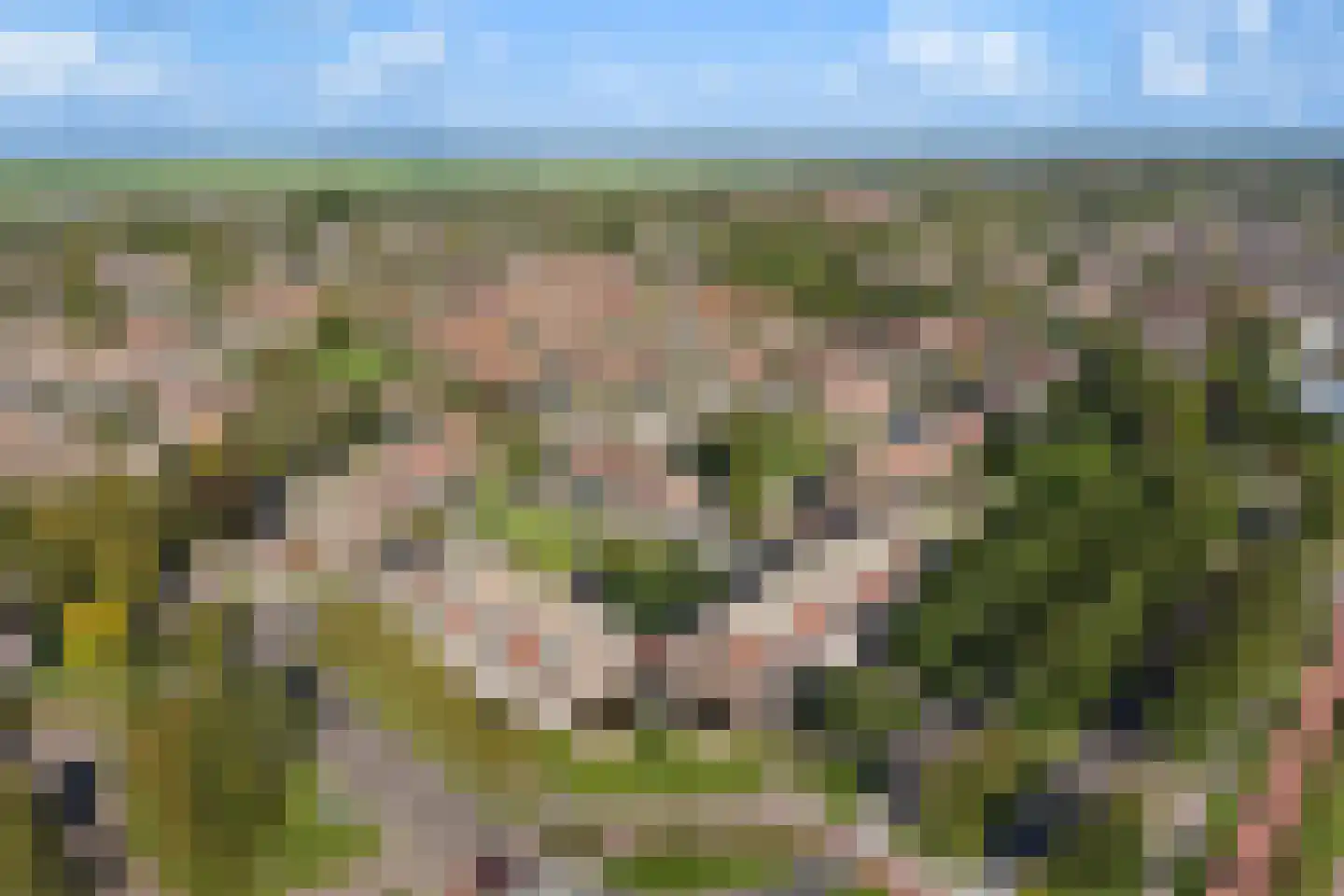 Roptastate 76 Leeuwarden thumbnail 9