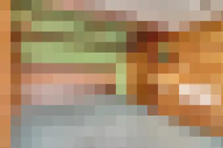 Rorikstraat 7 Wijk bij Duurstede thumbnail 30