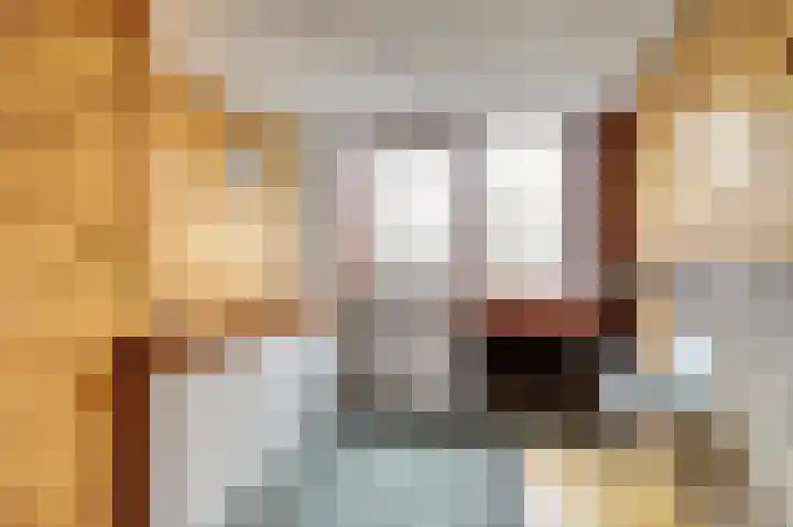 Rorikstraat 7 Wijk bij Duurstede thumbnail 31