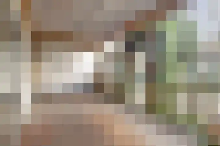 Rorikstraat 7 Wijk bij Duurstede thumbnail 40